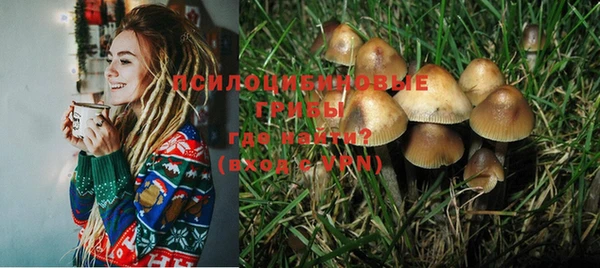 стаф Богородицк