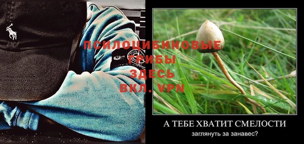 стаф Богородицк